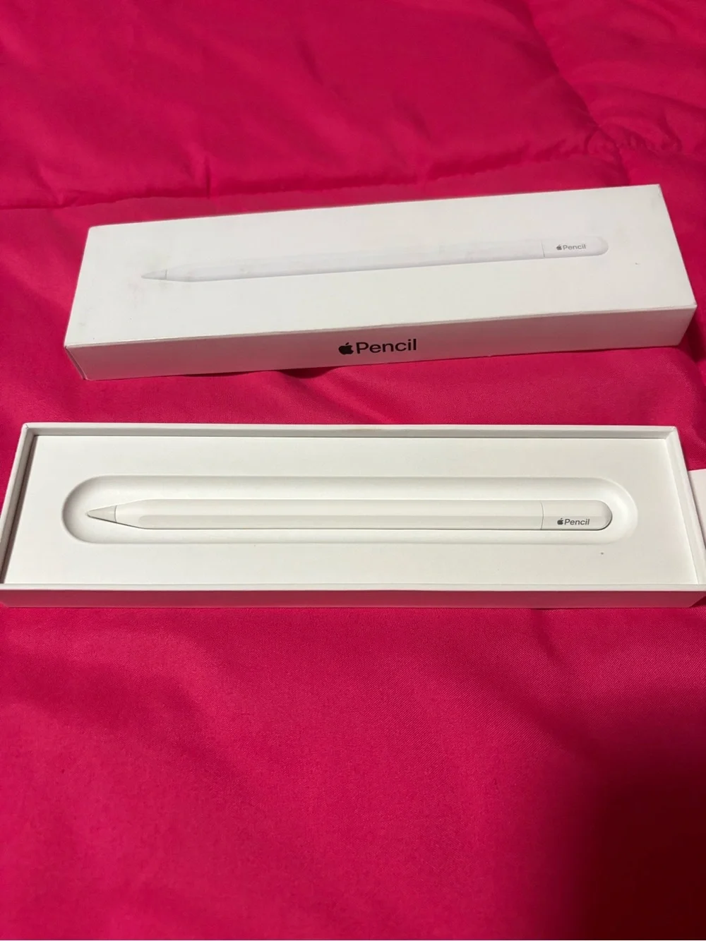 Apple iPad Pencil USB-C